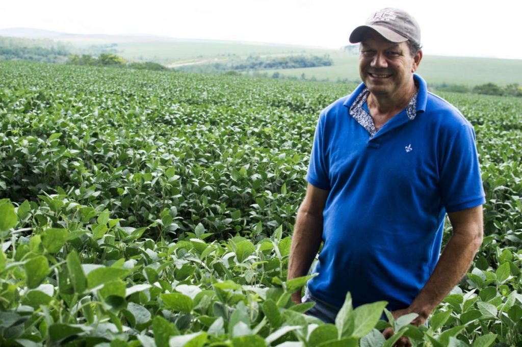 O empresário Silvio Maluta, na plantação de soja que cobre mais de dois mil hectares da Fazenda Fratelli